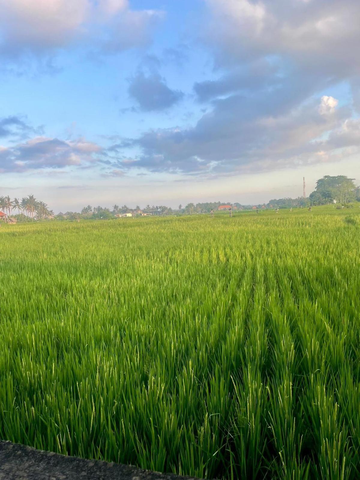 Arbathu Villa Ubud Ngoại thất bức ảnh